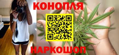 сатива Кинель